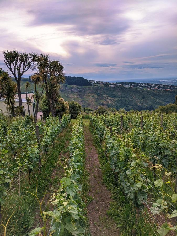 Отель Tussock Hill Vineyard Retreats Крайстчёрч Экстерьер фото